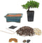 Eve's Garden, Inc Eve's Bonsai Tree Starter Kit, Complete Do-It-Yourself Kit with 4 Year Old