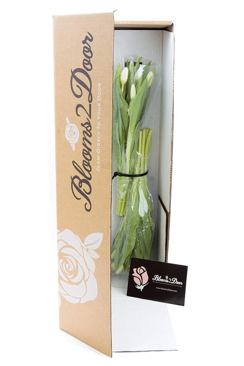 Blooms2Door 20 - Fresh Cut White Tulips Without Vase- Fresh Flowers for Birthday, Valentine's & Mother's Day