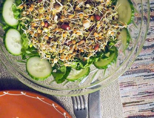 Microgreens,10 oz Green Lentil Seeds for Sprouting A Rich Source of Vitamins and Minerals and Health-Promoting