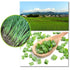 TEAERPKLAE 2.82/80minced Dried Chopped Green Onions onions driedchives seasoningscallions chopped Gourmet Spring Green