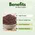 450g (0.99 lbs) Danodia Foods Finger Millet Flakes (Ragi) | Gluten-Free & Non-GMO | Traditional Unpolished Millet