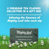 40 Count 8 Mighty Leaf Organic Tea Sampler Silken Tea Bags Assorted Flavors: Tropical Green, Chamomile Citrus, Earl