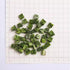 WGENGWU Frozen Greens2.47oz Spinach, Ready Harvest Freeze Dried Spinach | Emergency & Survival Food | Lightweight