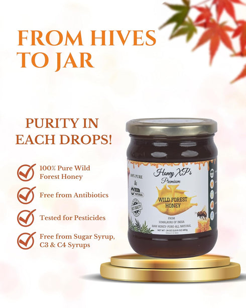 100% 680g (24 oz) Honey XP Raw Himalayan Wild Forest Honey Pure & Natural No Added Sugar Unprocessed & Cold-Filtered