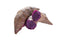 RawJoy Organic Fresh Japanese Purple Sweet Potato by Farms