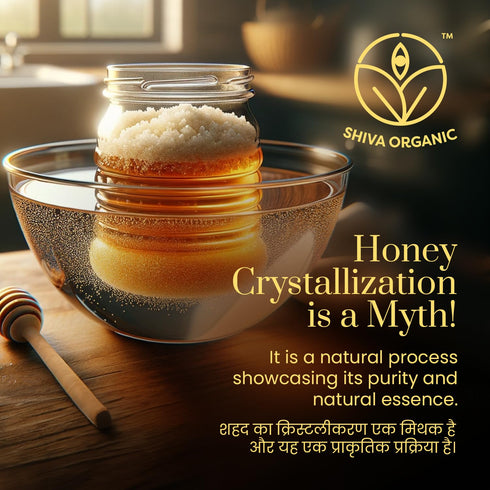 100% 8.81 (250g)) Shiva Organic Tulsi (Holy Basil) Infused Honey - Natural and Pure Organic Honey - GMP Certified