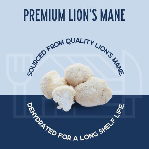 (2.25 oz, Harmony House Foods Dried Gourmet Lion's Mane Mushrooms Quart Size Jar)