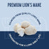 (2.25 oz, Harmony House Foods Dried Gourmet Lion's Mane Mushrooms Quart Size Jar)