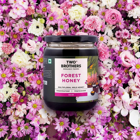 17.6 Oz Forest Honey | Raw, Wild, Unfiltered & Unpasteurized | Multifloral Honey from Native Indian Bees | No
