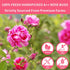 Dried Rose Buds Tea, Edible Whole Flowers Loose Leaf Herbs, Premium Natural Healthy Fragrant Beverage, Ideal for Gift,