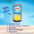100% 6 Oz (Pack 6), 48 Dole Pineapple Juice, Fruit Juice with Added Vitamin C, Fl of Total Cans