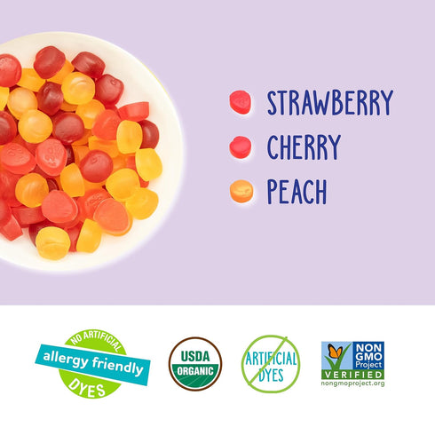 0.7 (Pack 10) YumEarth Organic Fruit Snacks Box, Ounce