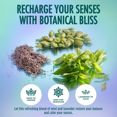 12oz BrightLeaf Mint Lavender Sparkling Tea for Relaxation and Digestion Caffeine-Free, Zero Sugar, Calories