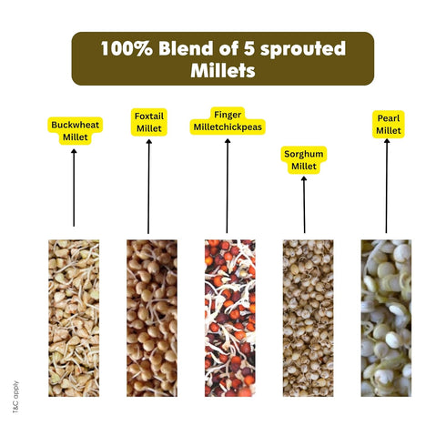 Ecomytra 100% 1lb (454g) Sprouted Super Millets Mix Flour Sprouted Ancient Millet Grains Gluten Free, High Fiber, Plant