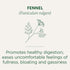 96 (6 Pack) Traditional Medicinals Tea, Organic Fennel, Promotes Healthy Digestion, Tea Bags