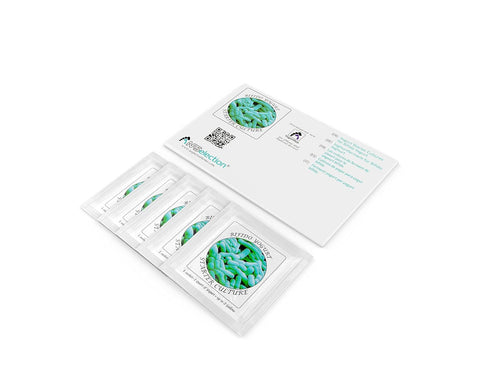 Yogurt Starter Cultures - Pack of 5 Freeze-Dried Culture Sachets for Bifido Yogurt