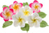 Global Sugar Art Tropical Frangipani Plumeria Edible Sugar Flower Blossoms, Wedding Cake