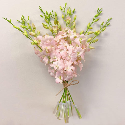 Athenas Garden Fresh Cut Pink Orchids 10 Stems peachy Dendrobium Orchid Flowers