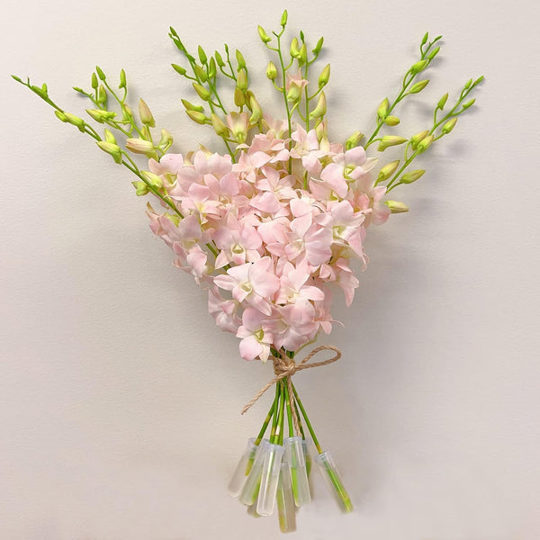 Athenas Garden Fresh Cut Pink Orchids 10 Stems peachy Dendrobium Orchid Flowers