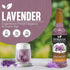 25.4 oz. Syruvia Lavender Syrup, Peanut Butter Cup Syrup & Smores Syrup - fl Premium Coffee Flavoring Syrup. Kosher