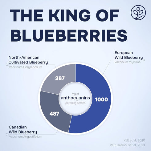 4 Frozen 3.2 Jungle Powders Organic Blueberries Fresh Freeze Dried Fruit Ounce Bag - Made From Wild Dried Blueberries +