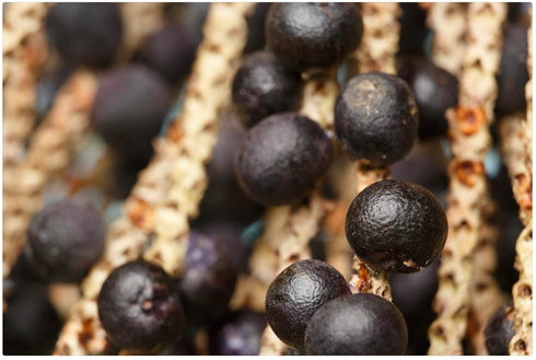 (1) Especial Fruits (Previously Zola) Brazilian Super-fruit, Acai Berry Puree for Smoothies, Bowls and More