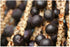 (1) Especial Fruits (Previously Zola) Brazilian Super-fruit, Acai Berry Puree for Smoothies, Bowls and More