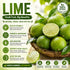 Generic Lime,10 Count