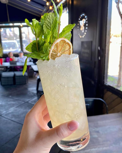3oz, 50+ Cocktail Garnish Co. Dehydrated Lemon Wheels, Slices
