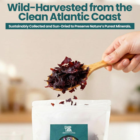 100% (1lb) Atlantic Dulse Flakes Organic Sourced Maine Coast Atlantic Ocean Sea Vegetables Raw Bulk - Pure