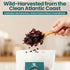 100% (1lb) Atlantic Dulse Flakes Organic Sourced Maine Coast Atlantic Ocean Sea Vegetables Raw Bulk - Pure