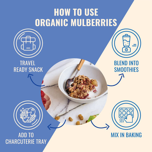 Sunny Fruit Soft Organic Turkish Dried Mulberries, 1 Bag (5 Individual Portion Packs), No Preservatives, Healthy Snack