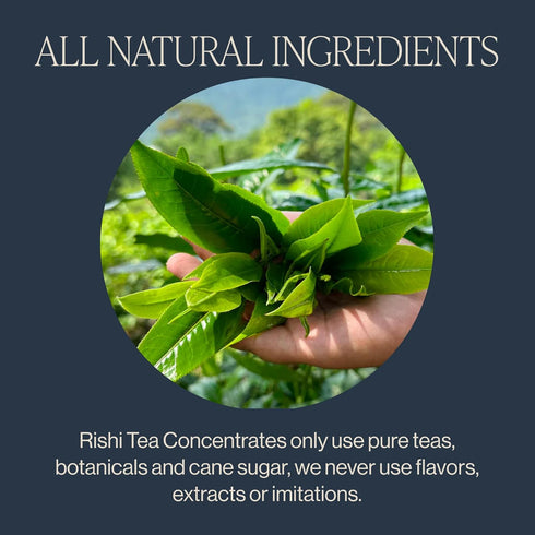 Pack 32 oz 8 (Pack 3) Rishi Tea Latte Concentrate Beverage Variety - Organic, Black and Caffeine-Free Chai Latte