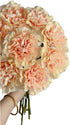 38 Next-day delivery Apple Tea Color Carnation Flowers DIY Hydroponic Flower Arrangement Mothers Day Gift Birthday
