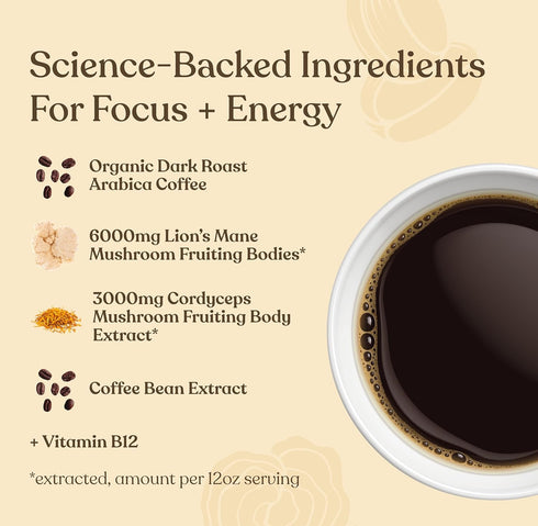 B12 10oz Four Sigmatic Focus Max High Caffeine Cordyceps Coffee | Organic Dark Roast High Caffeine Ground Coffee