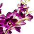 Generic (10 Fresh Cut Orchids Flowers - Purple Orchids Bouquet - PRIME QUALITY - Gift for Easter, Anniversaries