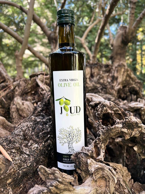 Joud Olive Oil 750 ML Joud, Extra Virgin Olive Oil, Premium Smooth, Single Origin, Lebanese, First Cold Press