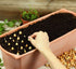 Votaniki Bulbs, Sets (170 Pack) Vegetable - Onion Red Baron Onion - Large Onion and Globe shaped