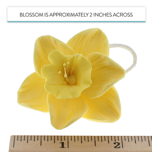 6 Count Global Sugar Art Daffodil Sugar Cake Flowers, Yellow, by Chef Alan Tetreault
