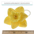 6 Count Global Sugar Art Daffodil Sugar Cake Flowers, Yellow, by Chef Alan Tetreault