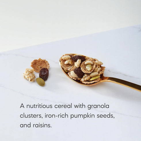 12.3 oz (Pack 1), Nature's Path Organic Flax Plus Pumpkin Raisin Crunch Cereal, of Non-GMO