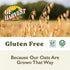 32 GF Harvest Gluten Free Organic Whole Grain Oat Flour, Ounce Bag
