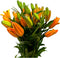 19 Orange Fresh cut Lily Flowers | Send Flower Food |Hydroponics Flower