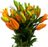 19 Orange Fresh cut Lily Flowers | Send Flower Food |Hydroponics Flower