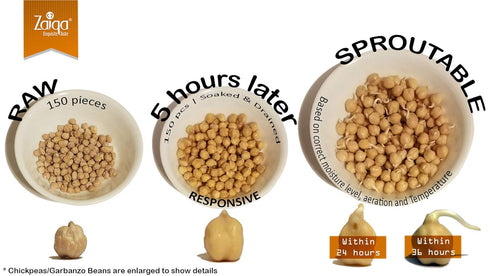 Zaiqa Exquisite Taste 2 LBS 32 Hummus Packed Zaiqa Raw Chickpeas, or Ounce | Dried Chickpeas for Chickpea Flour, Choice