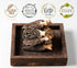 1oz (28.35g) Auditum Premium Dried Morel Mushrooms, Wild Harvested, Nutrient-dense for Vegans, Earthy Flavor & Rich