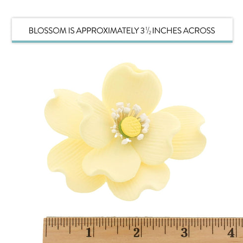 4 Count Global Sugar Art Dogwood Rose Sugar Cake Flowers, Yellow with Stamen, with Wire by Chef Alan Tetreault.