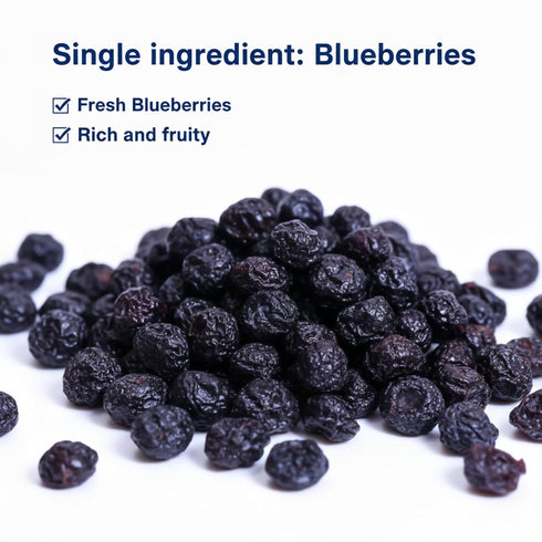 DYBOEDYO 15.87oz(450 Dried Blueberries | g) | Dehydrated Blueberries | Sweet Dried Fruits, Fruit Snacks |Handpicked