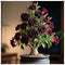 QYTGVSZ Desert Rose Succulent with Vivid Trumpet Drought-Tolerant Caudex Ideal for Windowsills, Desktops