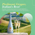 25.3oz (2 Pack) Tuscanini Sparkling Moscato Grape Juice, | Non Alcoholic Italian Moscato | Elegant Champagne Bottle |